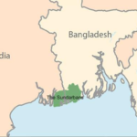 SUNDERBANS