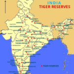 TIGER RESERVES