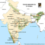 TIGER RESERVES (2)