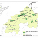 WESTERN INDIA TIGER LANDSCAPE