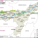 WILDLIFE HOMES IN ASSAM