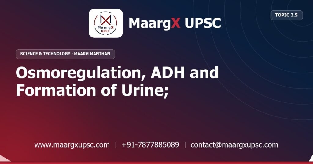 Osmoregulation, ADH and Formation of Urine; Thermoregulation - Science & Technology - MaargX UPSC Maarg Manthan