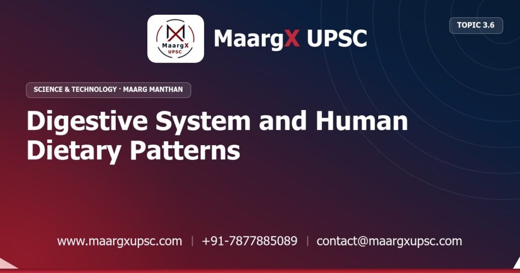 Digestive System and Human Dietary Patterns - Science & Technology - MaargX UPSC Maarg Manthan