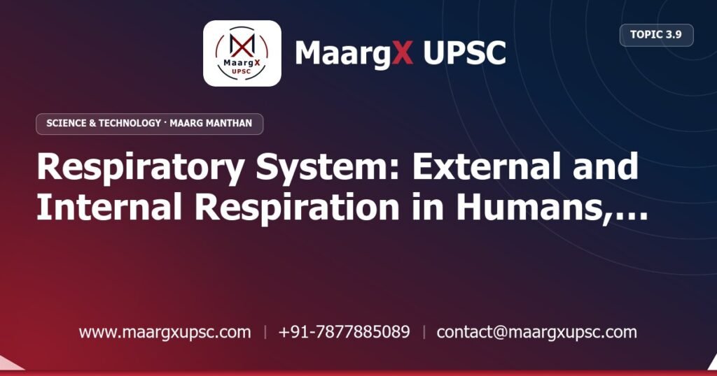 Respiratory System: External and Internal Respiration in Humans, Animals, Plants and Insects - Science & Technology - MaargX UPSC Maarg Manthan